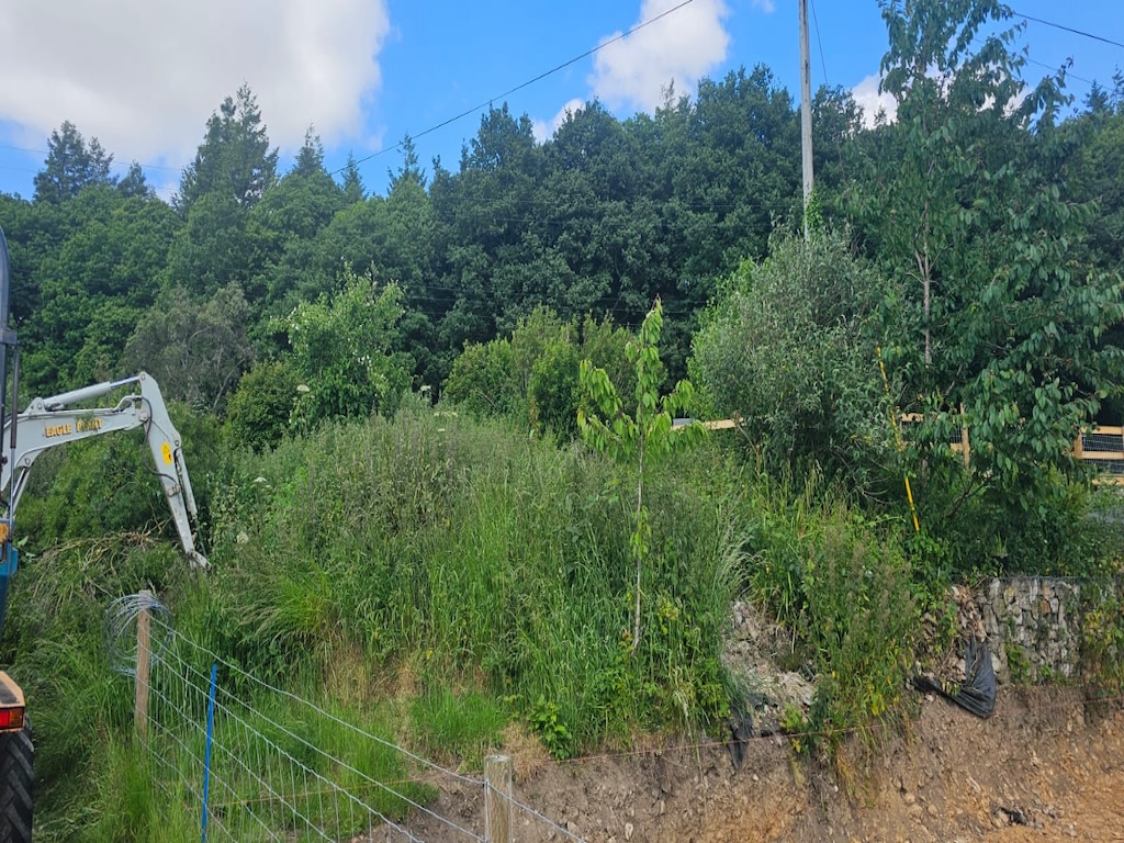 The sloping, overgrown bank before work began, with an excavator starting to clear it
